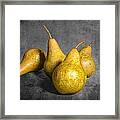 Four Pears On Gray Framed Print