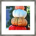Four Pumpkins Framed Print