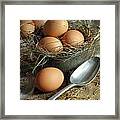 Fresh Brown Eggs In Old Tin Container With Spoon Framed Print