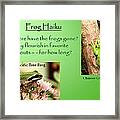 Frog Haiku Framed Print