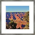 From The Edge Of The Grand Canyon Framed Print