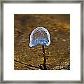 Frozen Mushroom Framed Print