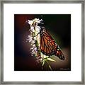 Further To Fly Framed Print