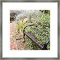 Garden Bench Framed Print