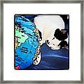 Giant Cat Attacks The World #fun #cats Framed Print