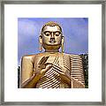 Giant Gold Bhudda Framed Print