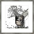 Ginger Ale Framed Print