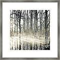 Glowing Woods Framed Print