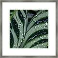 Go Green Framed Print