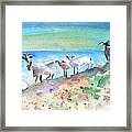 Goats In Agia Galini Framed Print