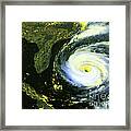 Goes 8 Satellite Image Of Hurricane Fran Framed Print