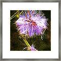 Going To Seed Framed Print