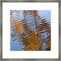 Gold And Blue Reflections Framed Print by Michelle Wrighton
