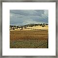 Gold Country Framed Print