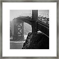 Golden Framed Print