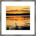 Golden Sunset Framed Print