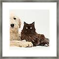 Goldendoodle And Chocolate Cat Framed Print