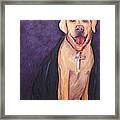 Good Habit Rex Framed Print