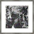 Good Impression Framed Print