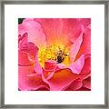 Good Morning Framed Print