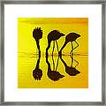 Graceful Gathering Framed Print