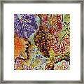 Grapes And Leaves Viii Framed Print