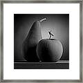 Gray Variations - Apples Framed Print