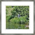 Great Blue Heron Rising Framed Print