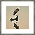 Great Blue Reflection Framed Print