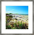 Great Lakes Summer Shoreline Framed Print