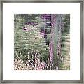 Green And Pink Impressions Framed Print