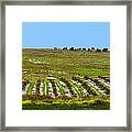 Green Hills Framed Print