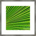 Green Perspective Framed Print