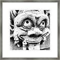 Grin Framed Print