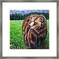 Grizzly Bear In Field Of Flowers Painting Framed Print