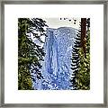 Half Dome Through The Trees Framed Print