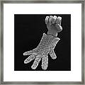 Hand And Glove Framed Print
