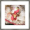 Happy Hen Framed Print