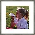 Hay Fever Framed Print