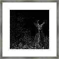 Hello Deer Framed Print