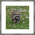 Hey What You Got There Framed Print