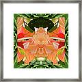Hibiscus Ally Framed Print