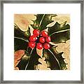 Holly And Ivy Framed Print