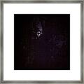 #horror #movie #moon In The #tree Framed Print