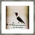 Hummingbird - Cards Framed Print