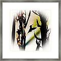 Hummingbird Silhouette.... I Did A Framed Print