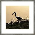 Hunting At Sunset Framed Print