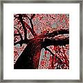I Am Tree Framed Print