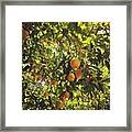 I Love California Framed Print