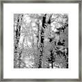 Ice Crystal Beauties Framed Print